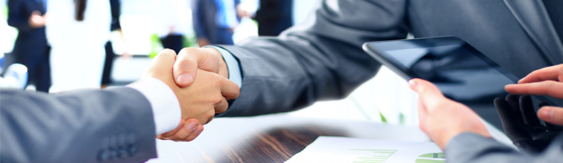 business_registration caplus